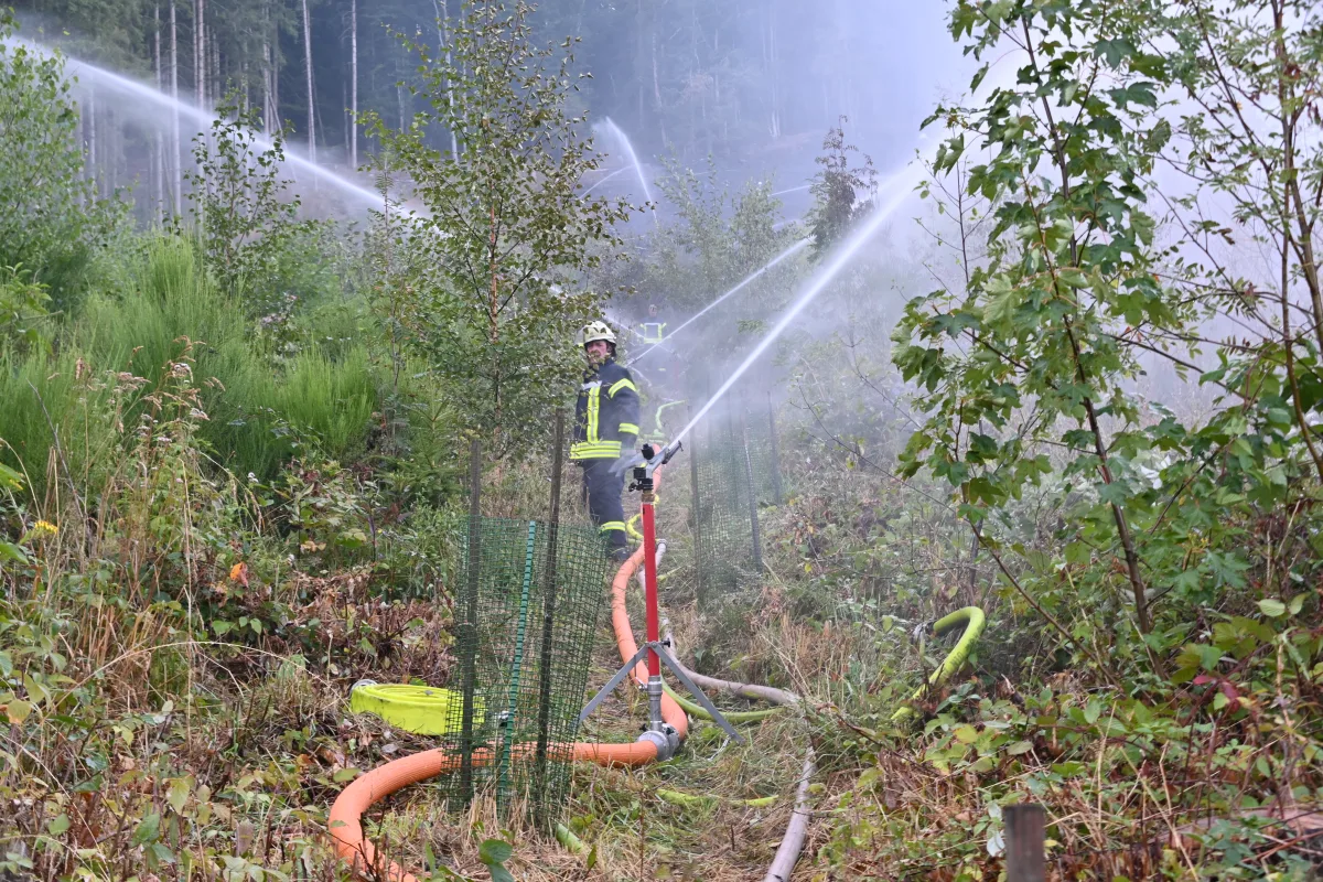 Ein Feuerwehrmann in kompletter Schutzkleidung nutzt einen Schlauch, um Wasser in einen bewachsenen Waldbereich zu spritzen. Die Landschaft ist dicht mit Pflanzen bewachsen.