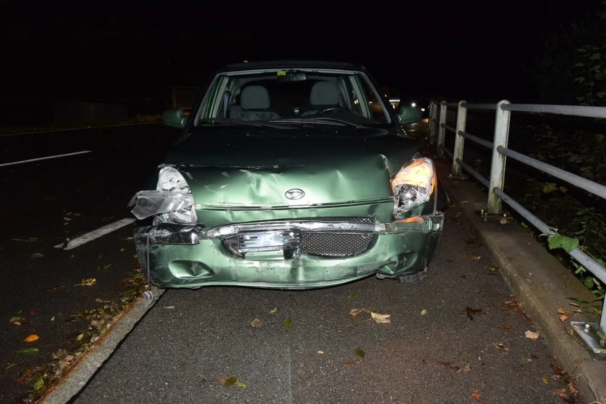 Wolfhalden AR - Junger Fahrzeuglenker verliert Kontrolle über Auto
