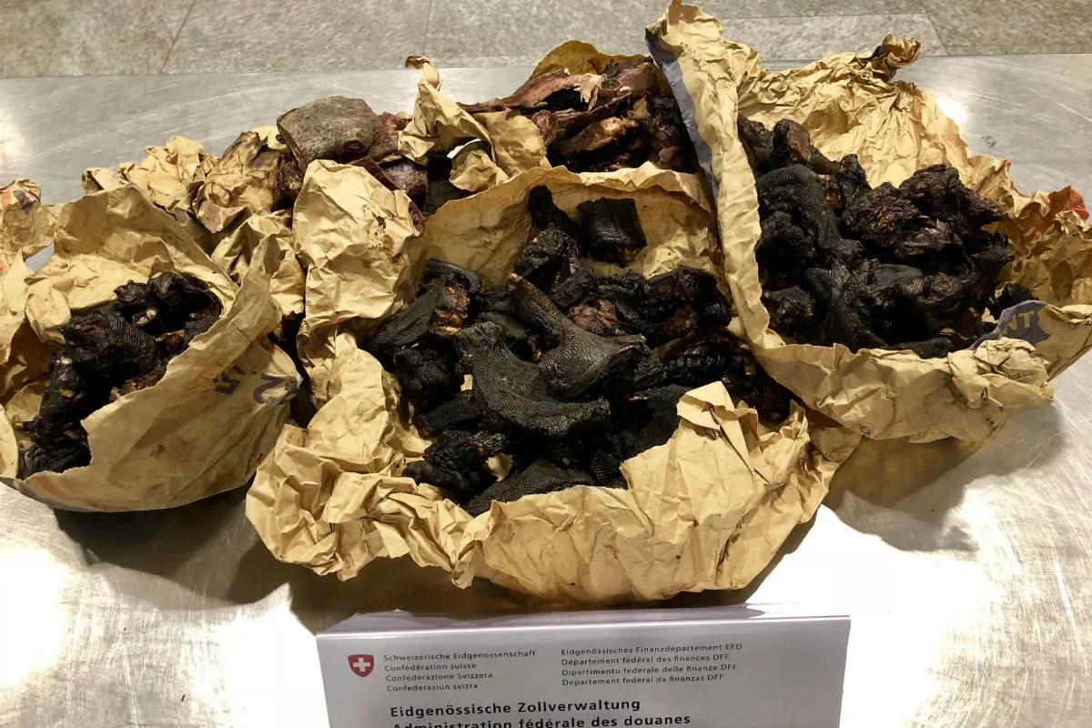Flughafen Zürich ZH - Über sechs Kilogramm Bushmeat sichergestellt