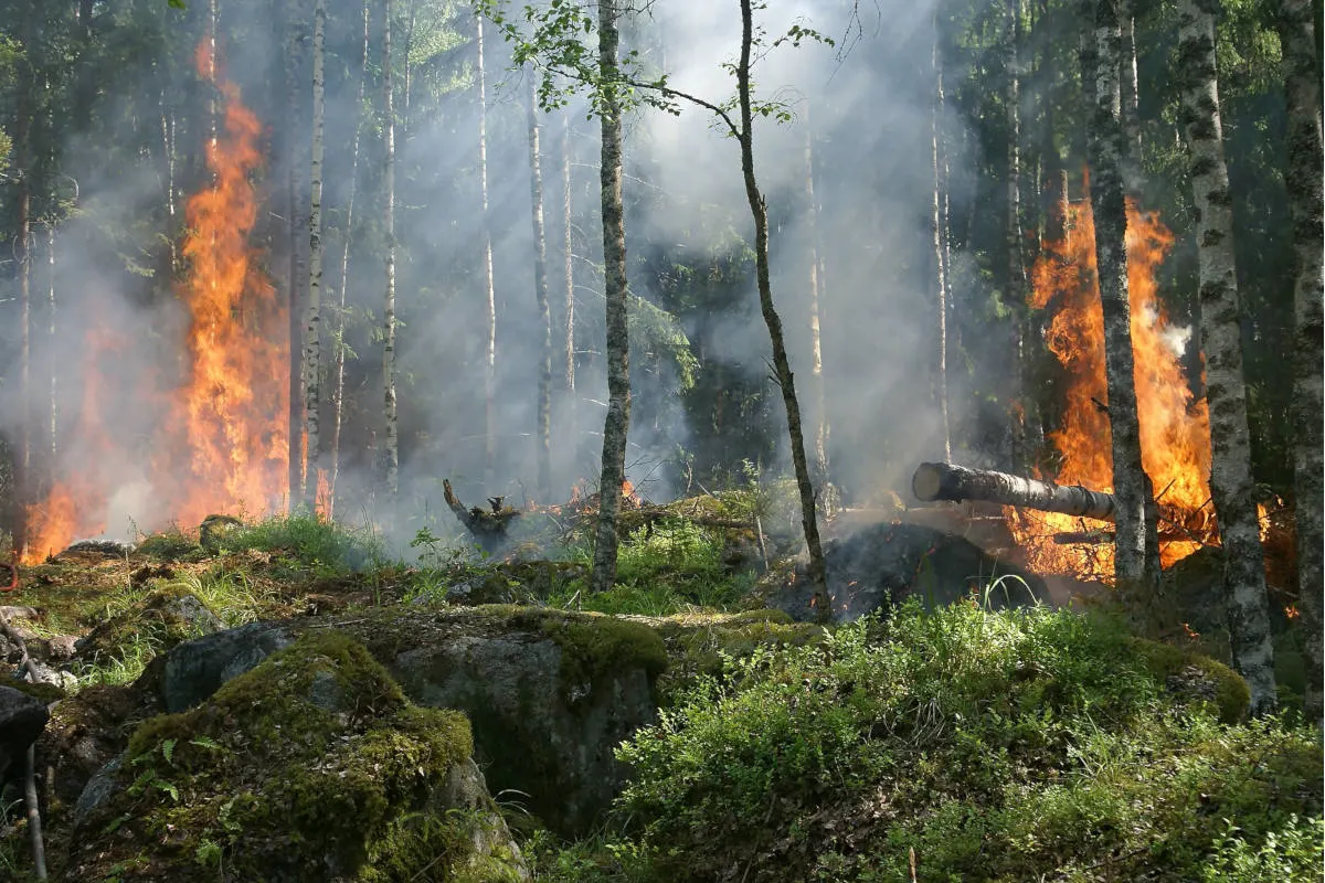 Kanton Glarus – Die Waldbrandgefahr steigt erheblich
