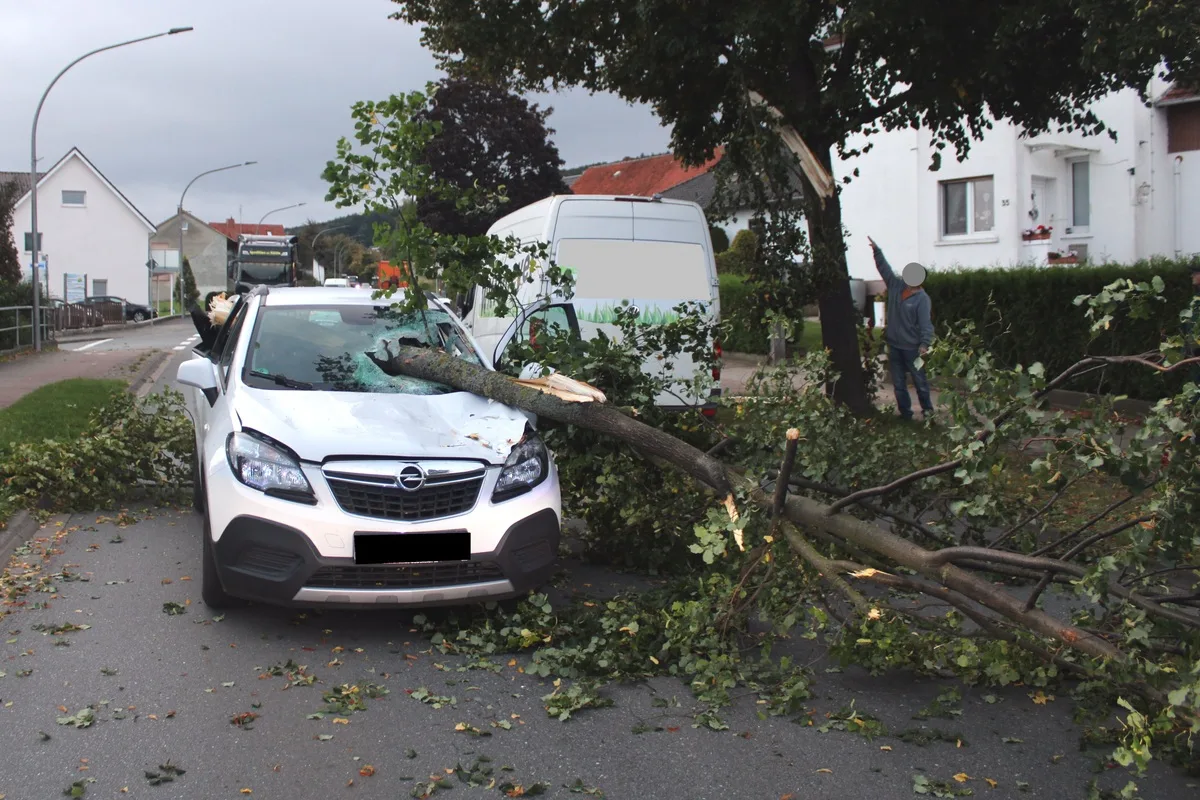Nettelstedt NW - Baumstamm durchbohrt eine Windschutzscheibe