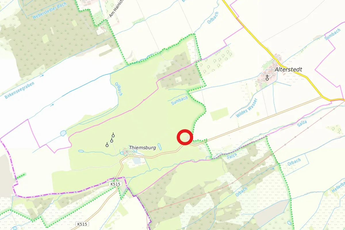 Eine digitale Landkarte zeigt Straßen und Flüsse in der Nähe von Alterstedt, mit einem roten Kreis um eine Stelle.