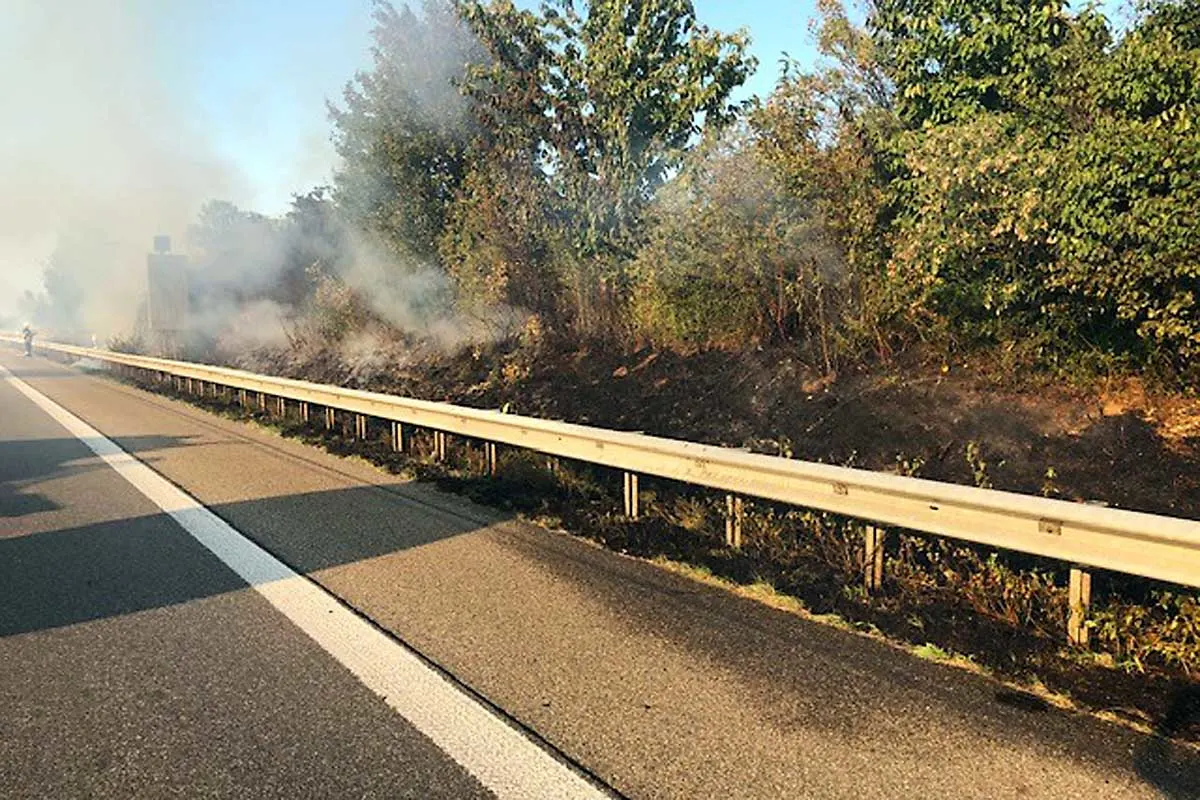 Landau - Flächenbrand nach Reifenpanne