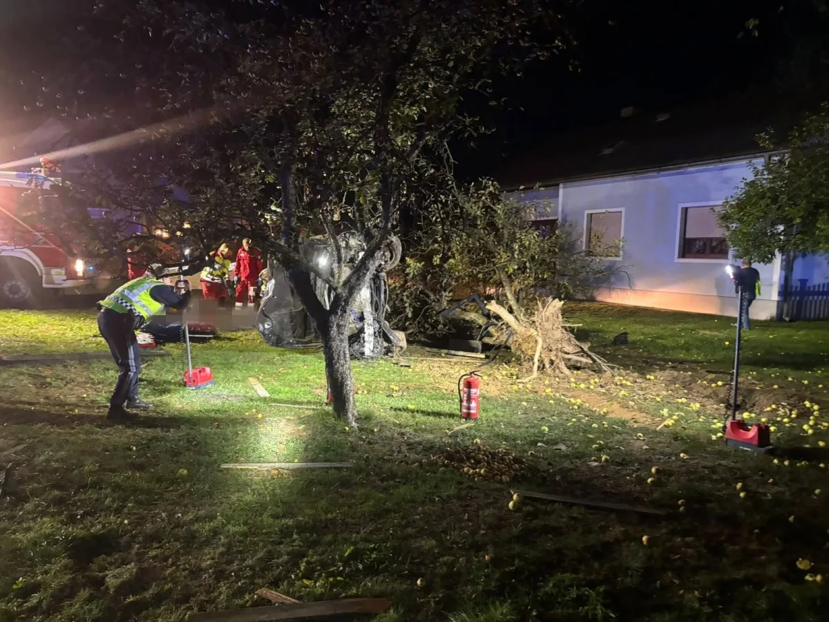 Ein umgestürzter Baum liegt auf einem Rasen vor einem Haus. Feuerwehr und Polizei sind im Einsatz.