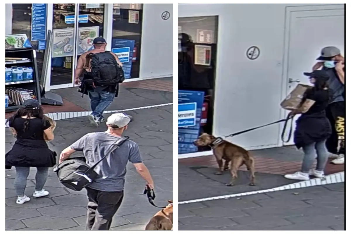 Eisenach - Polizei sucht drei Personen, die unter anderem einen Unfall verursacht haben 