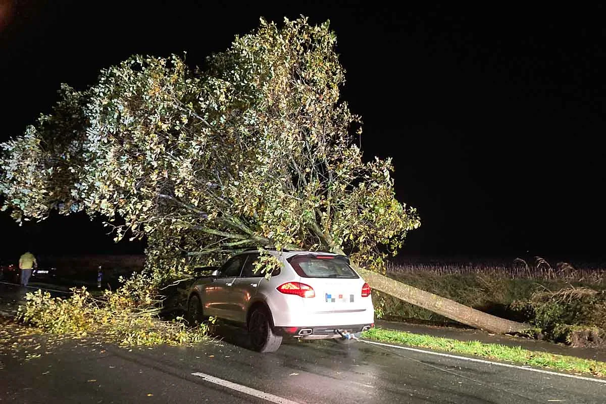 Leer - Porsche kollidiert mit umgestürzten Baum