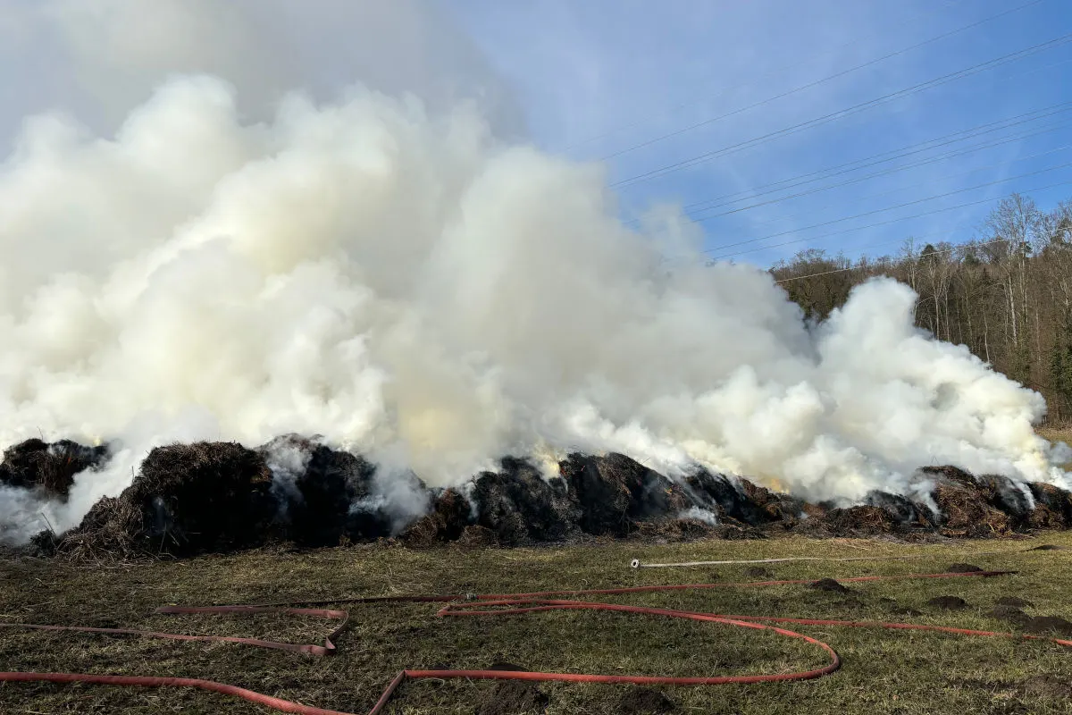 Etzwilen TG – Schilfhaufen fängt Feuer