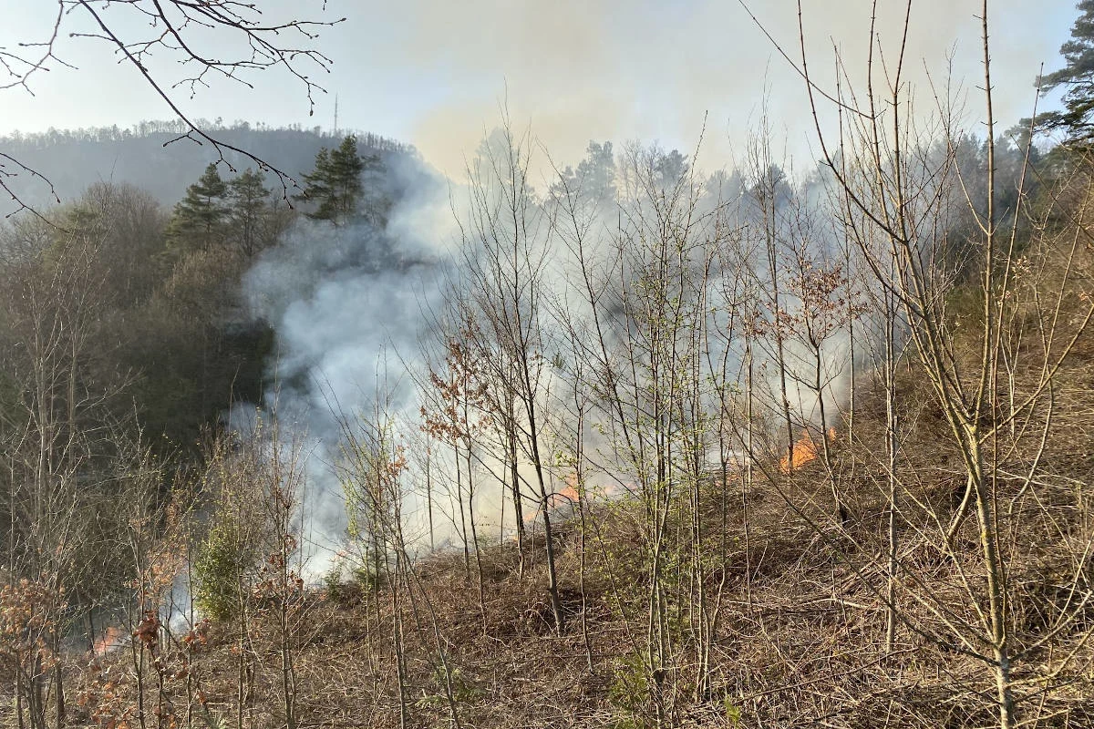 Grellingen BL – Brandausbruch im bewaldeten Gelände