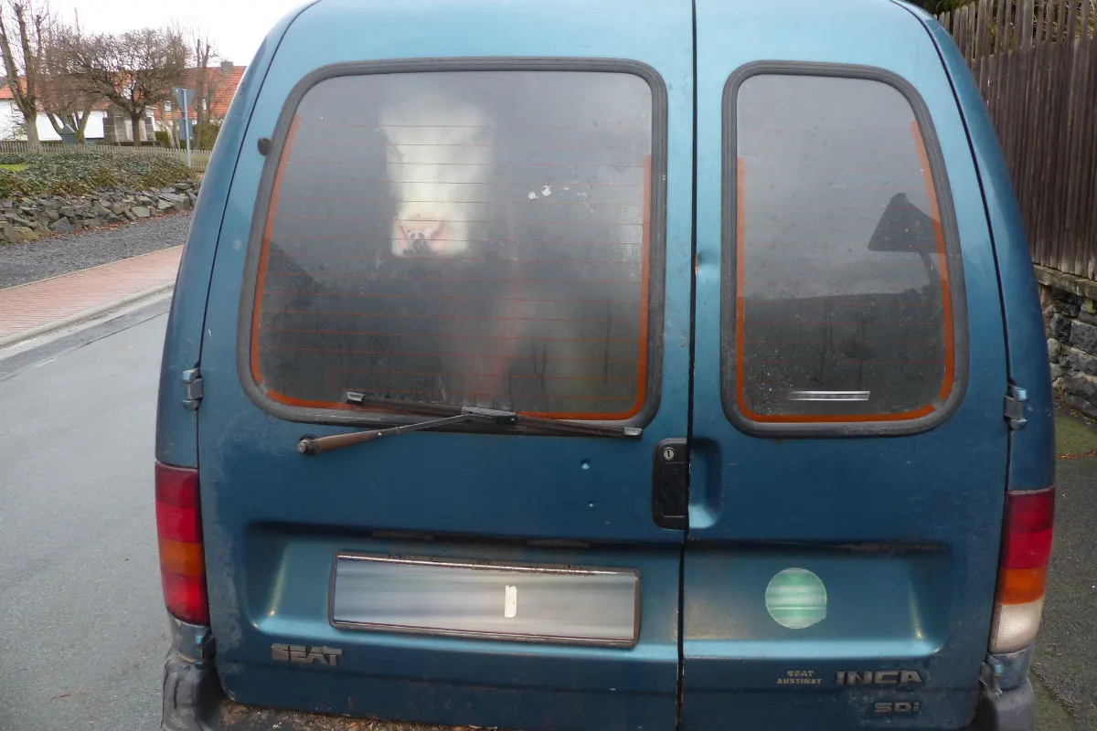 Rind im Kleintransporter - Polizei stoppt kuriosen Tiertransport