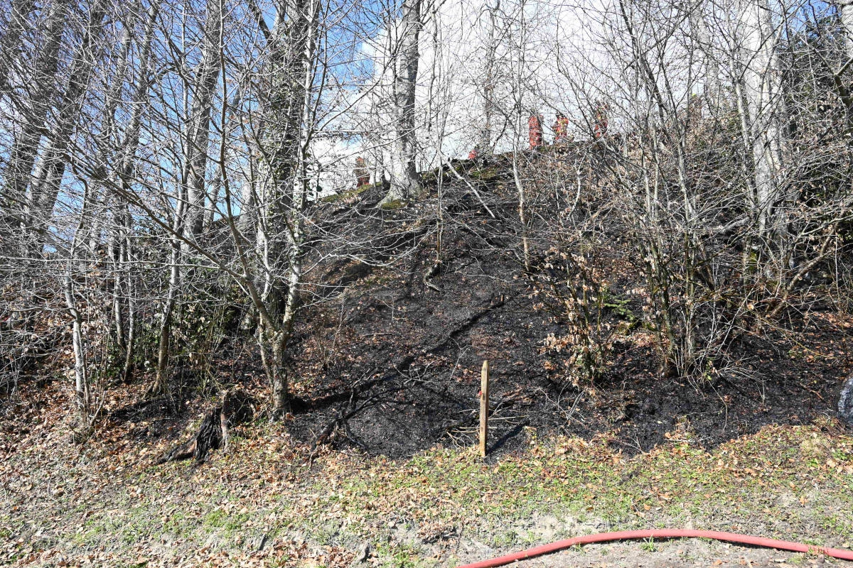 Goldingen SG – Feuerstelle unbeaufsichtigt gelassen und Waldbrand ausgelöst