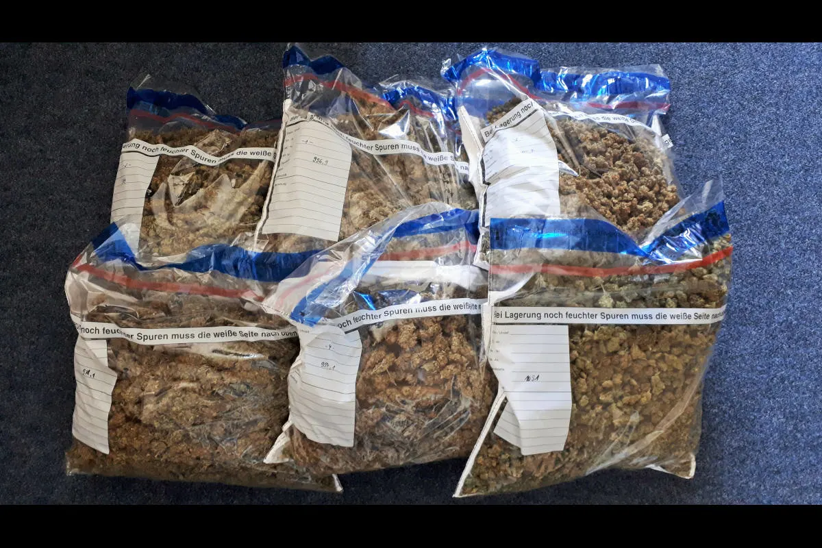 Erfurt – Vier Festnahmen und über sieben Kilogramm Drogen