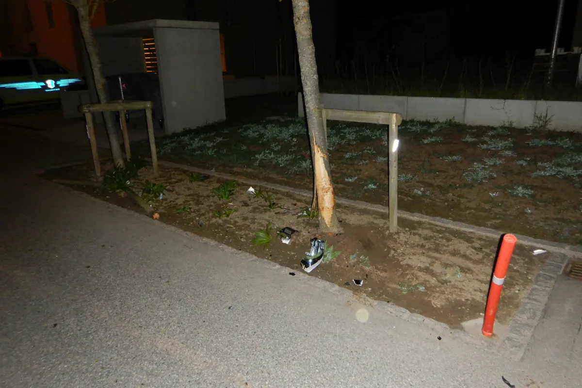  Oftringen AG - Nach Kollision mit Baum geflüchtet - Zeugenaufruf