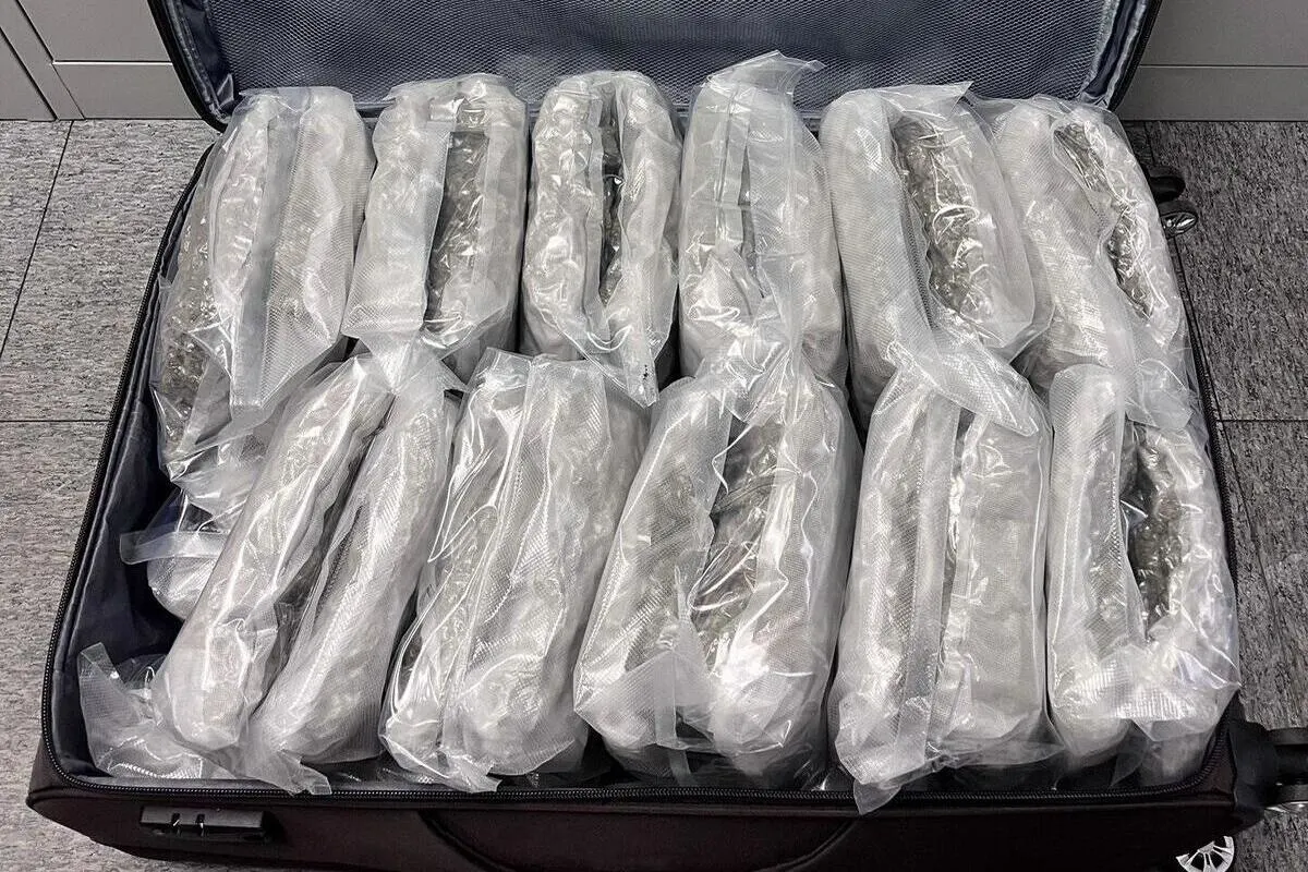 Flughafen Zürich - Rund 50 Kilogramm Marihuana im Gepäck 