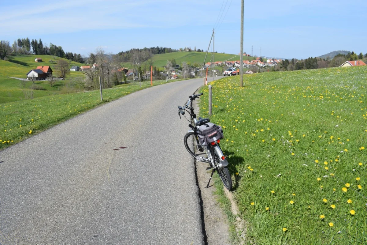 Herisau AR - E-Bike-Lenker nach Sturz verletzt