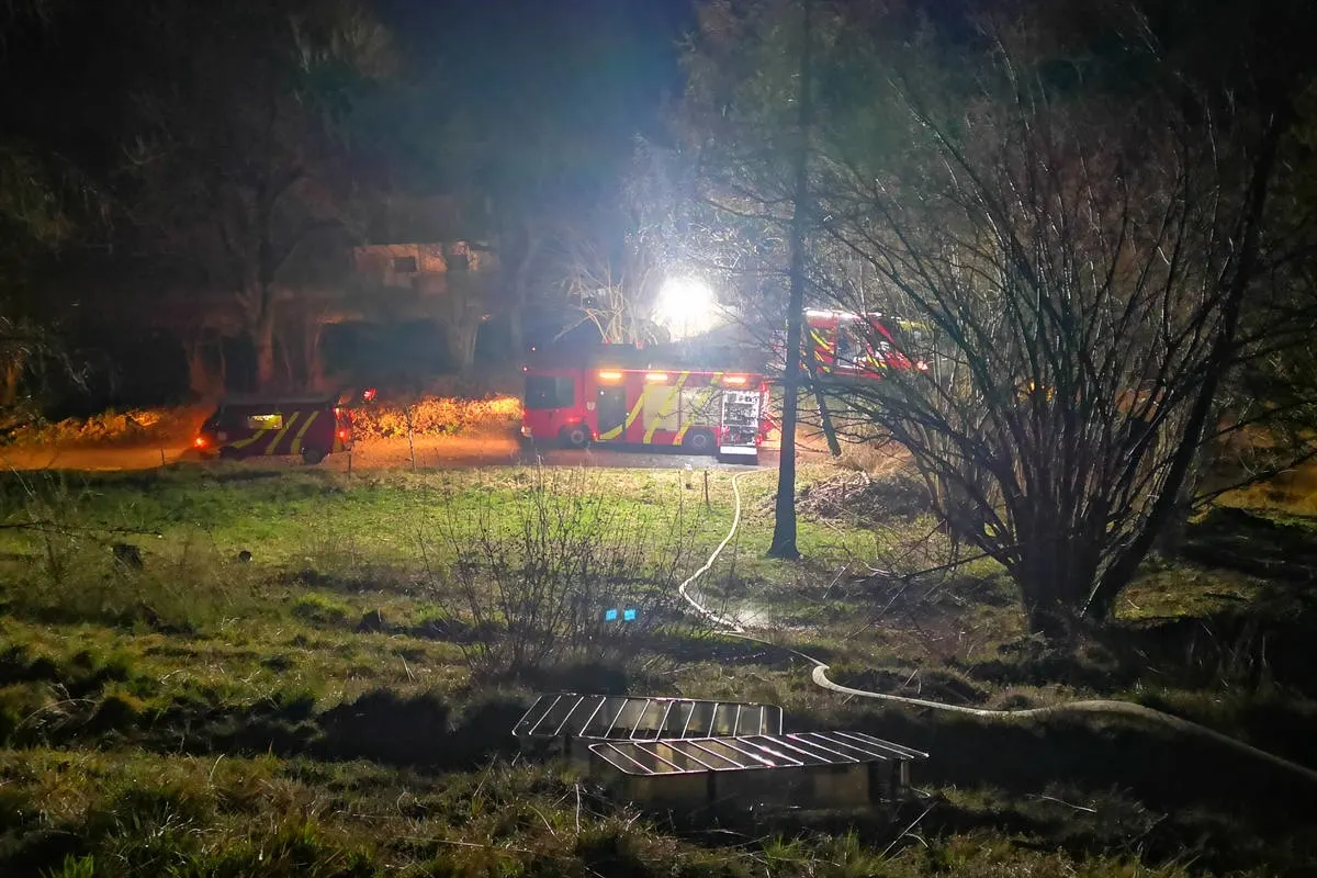 Tamins GR – Brennender Baumstrunk löst Einsatz aus