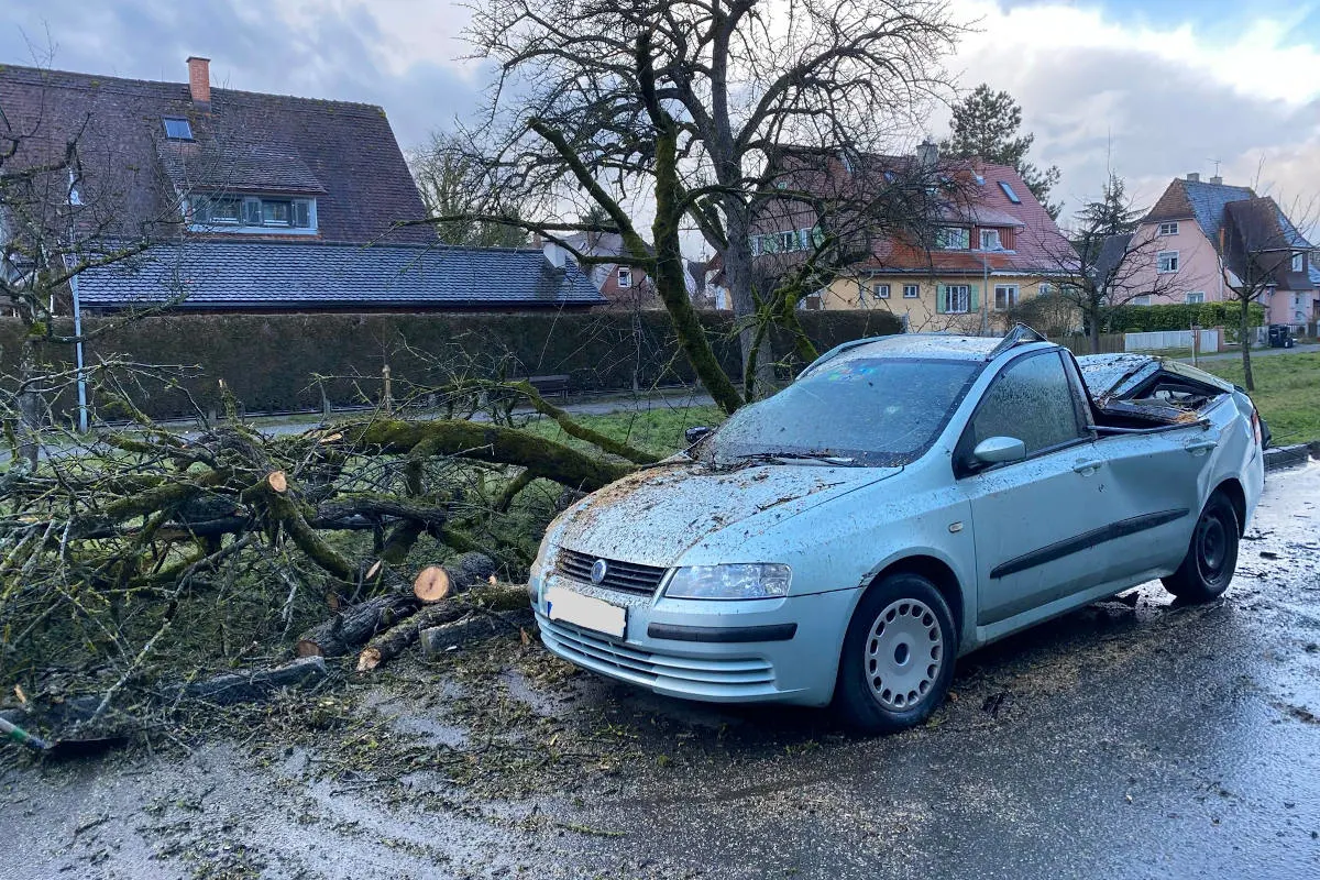 Konstanz – Sturmtief "Sabine" sorgt für viele Einsätze