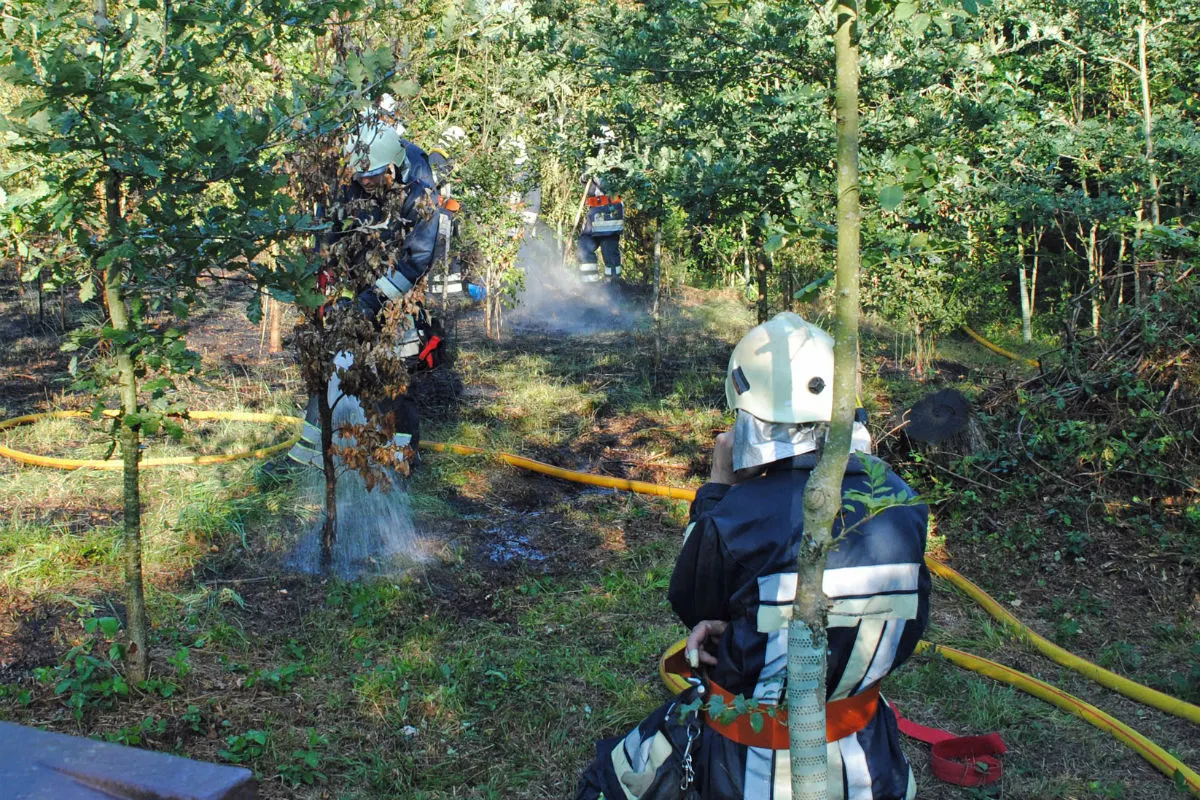 Knutwil LU - Flurbrand im Wald Knutwil