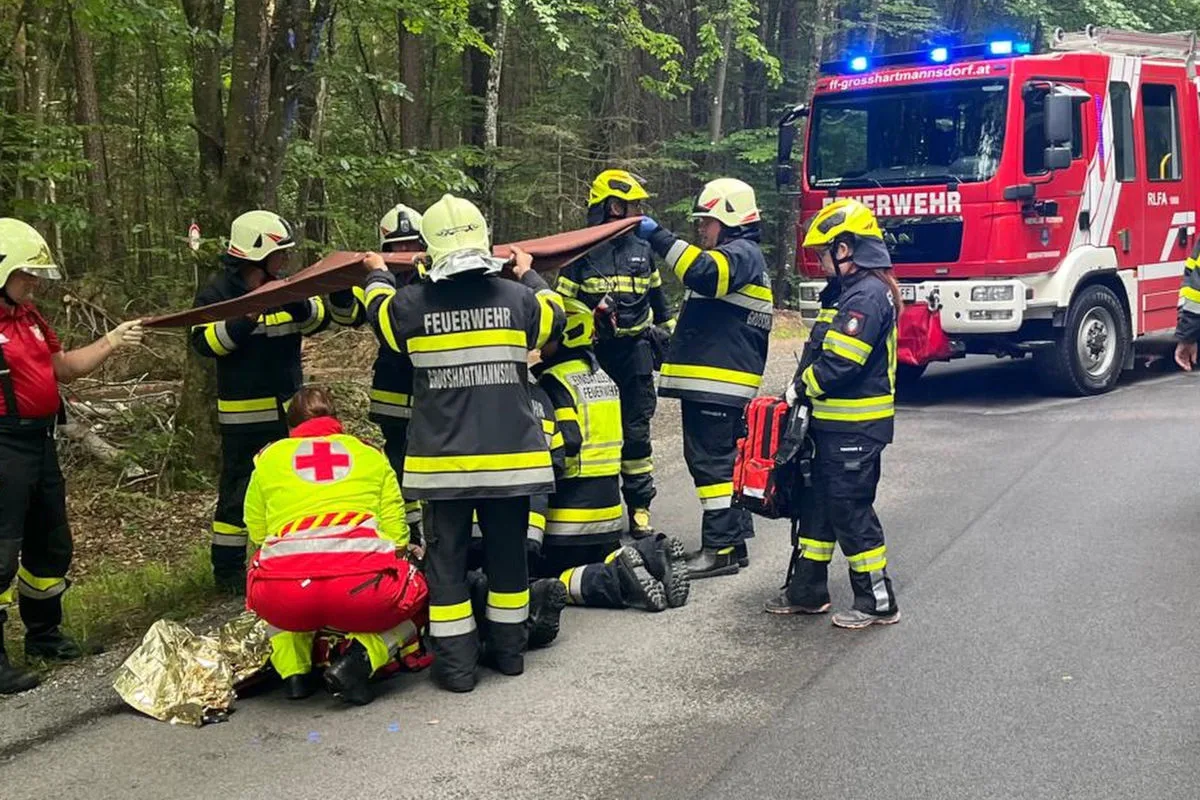 Mehrere Feuerwehr- und Rettungskräfte assistieren einer verletzten Person im Wald. Ein Feuerwehrfahrzeug steht daneben am Straßenrand.