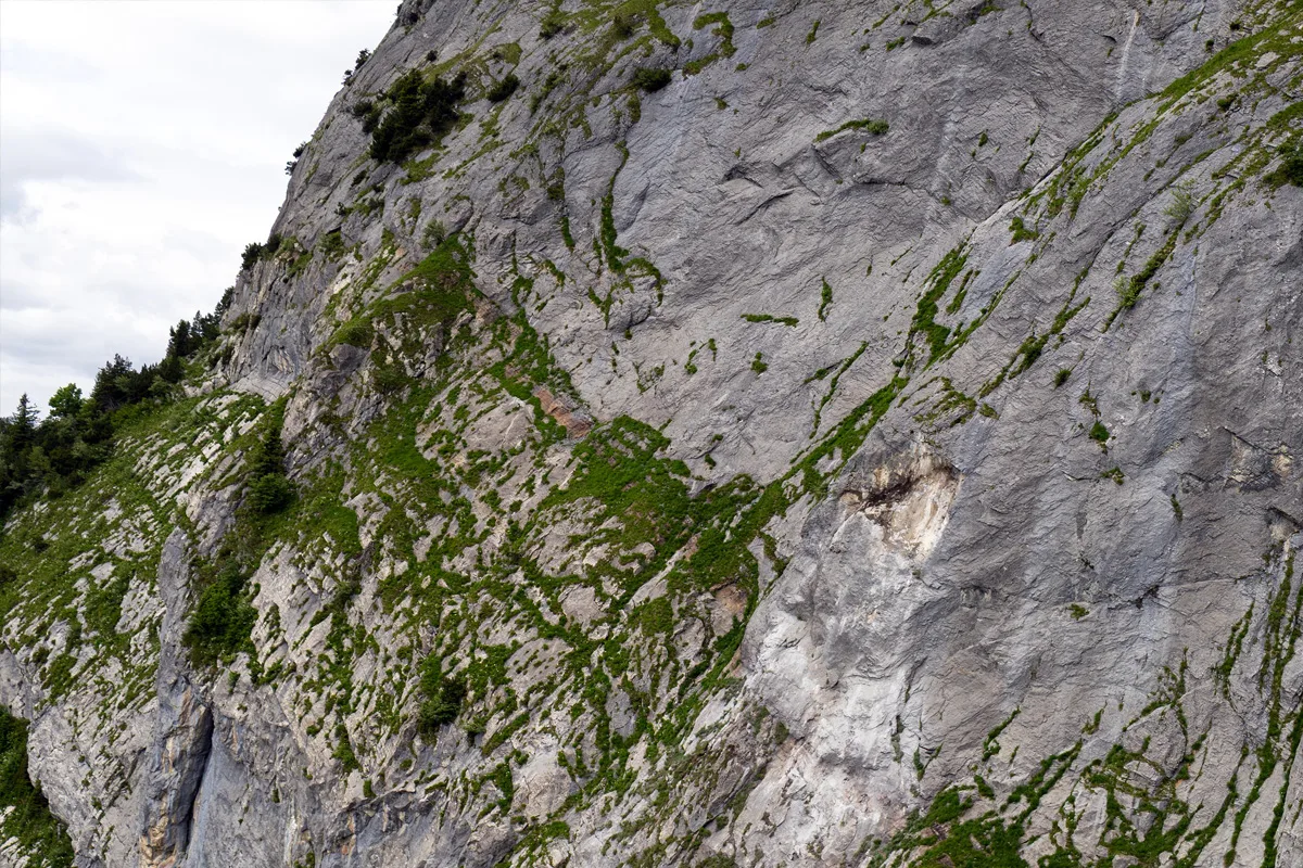 Eine steile Felswand zeigt gräuliches Gestein mit vereinzelten grünen Flecken von Flechten und Büschen. Keine Menschen oder Fahrzeuge erkennbar.