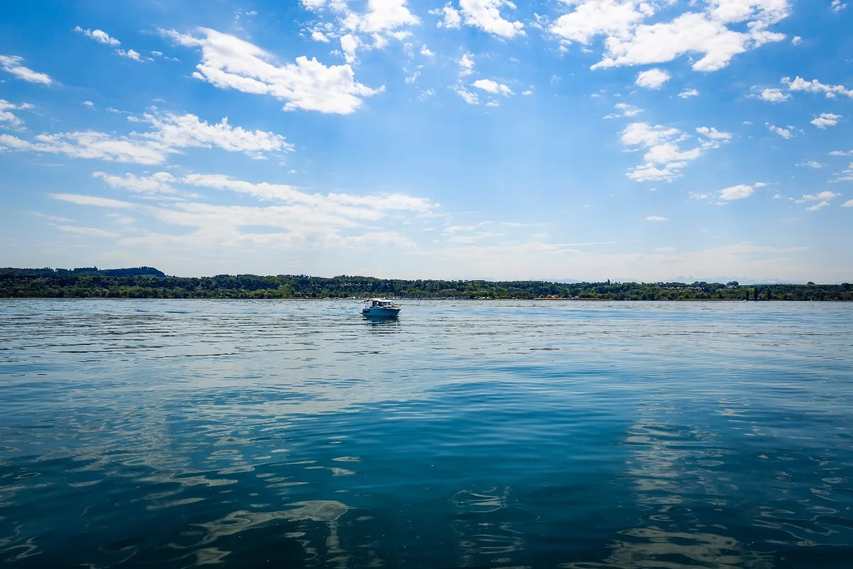 Hunde Todesfälle am Neuenburgersee - Das Baden im Neuenburgersee ist wieder erlaubt