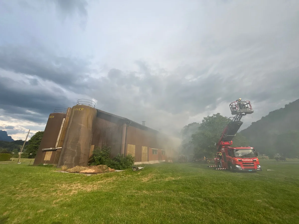 Ein rotes Feuerwehrfahrzeug mit ausgefahrener Leiter steht vor einem größeren, rauchenden Gebäude. Der Himmel ist bewölkt.