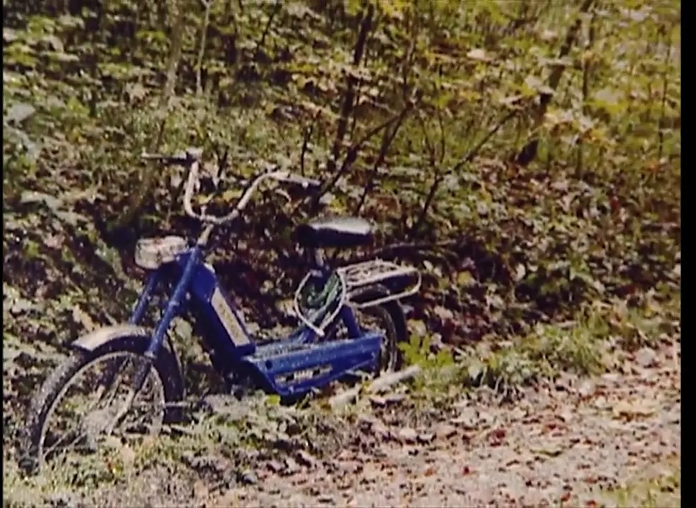 Ein blaues Mofa steht abgeschaltet im Laub am Waldrand, umgeben von Bäumen und herbstlichem Blattwerk.