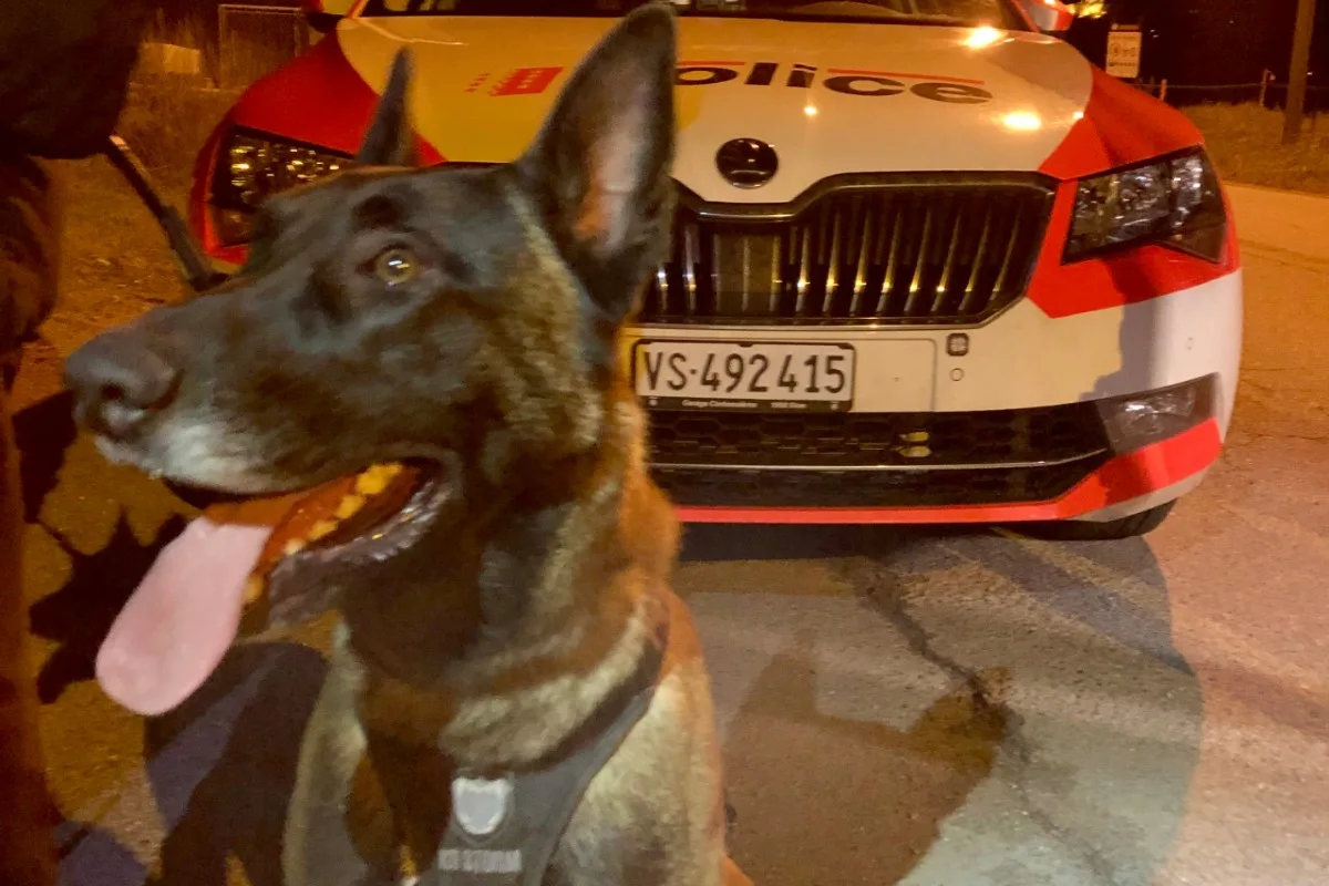 Monthey VS - Zwei mutmassliche Einbrecher verhaftet