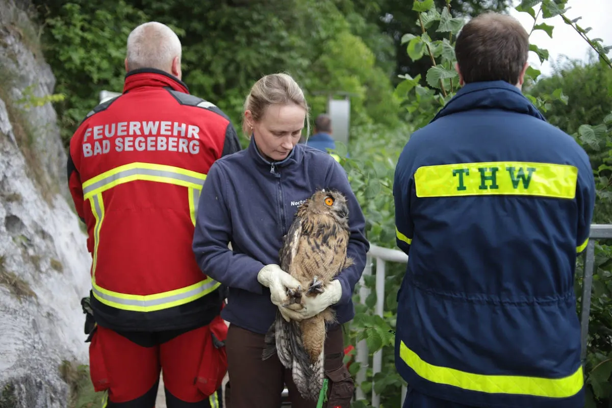 Bad Segeberg – Aufwendige Tierrettung am Segeberger Kalkberg