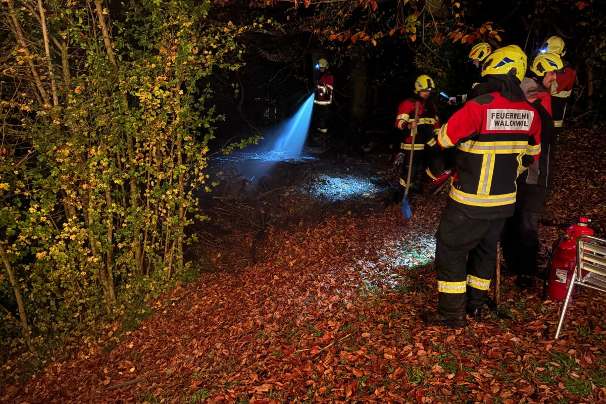 Walchwil ZG – Komposthaufen in Brand
