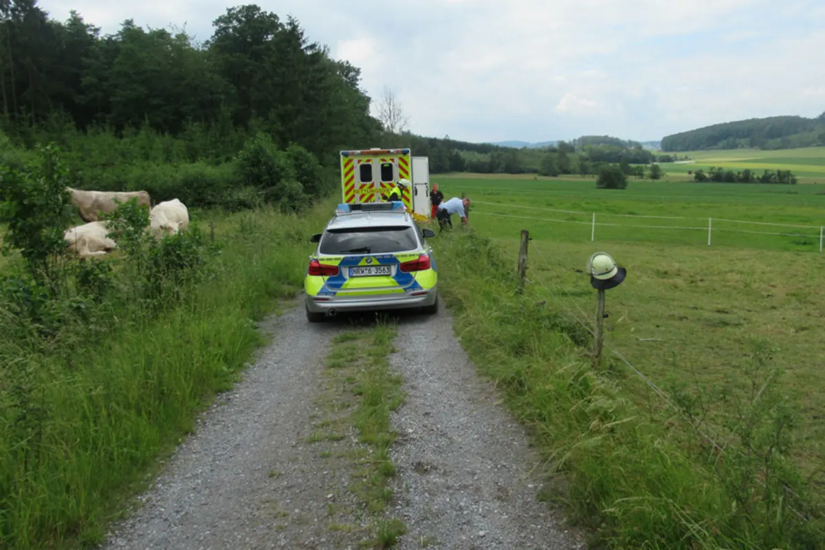 Zwei Reiterinnen bei Unfall verletzt