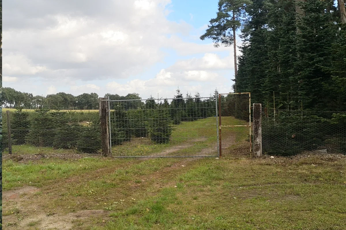 Cloppenburg NI – Kabeltrommeln und Werkzeug bei Einbruch gestohlen