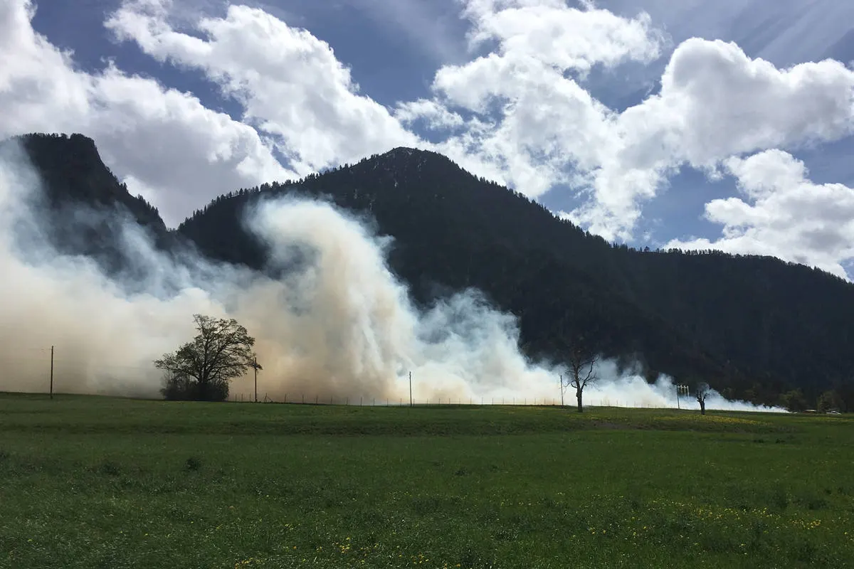 Zizers GR - Brand auf Erdbeerfeld