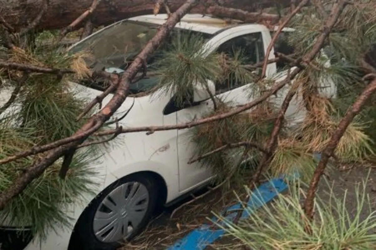 Basel - Unwetter sorgt für viel Chaos