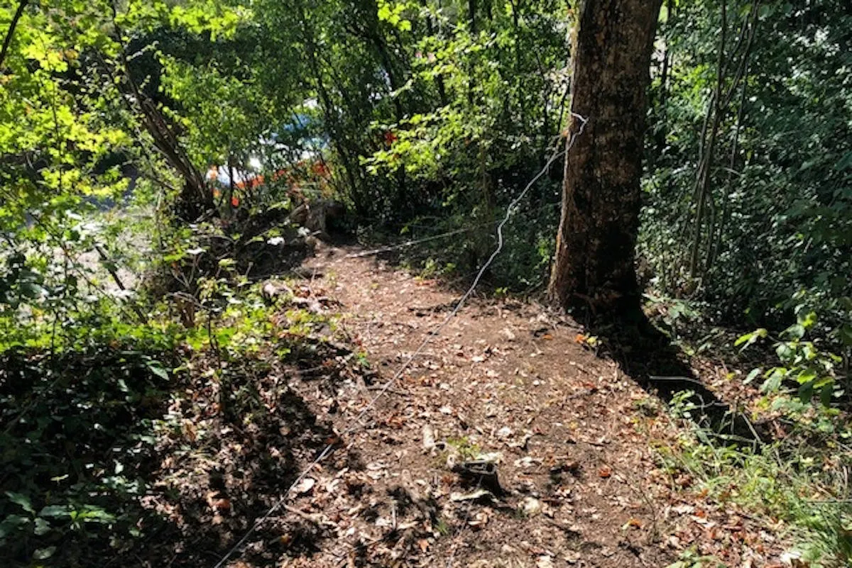 Zeugenaufruf Metzerlen-Mariastein SO – Mehrere Drähte über Waldweg gespannt 