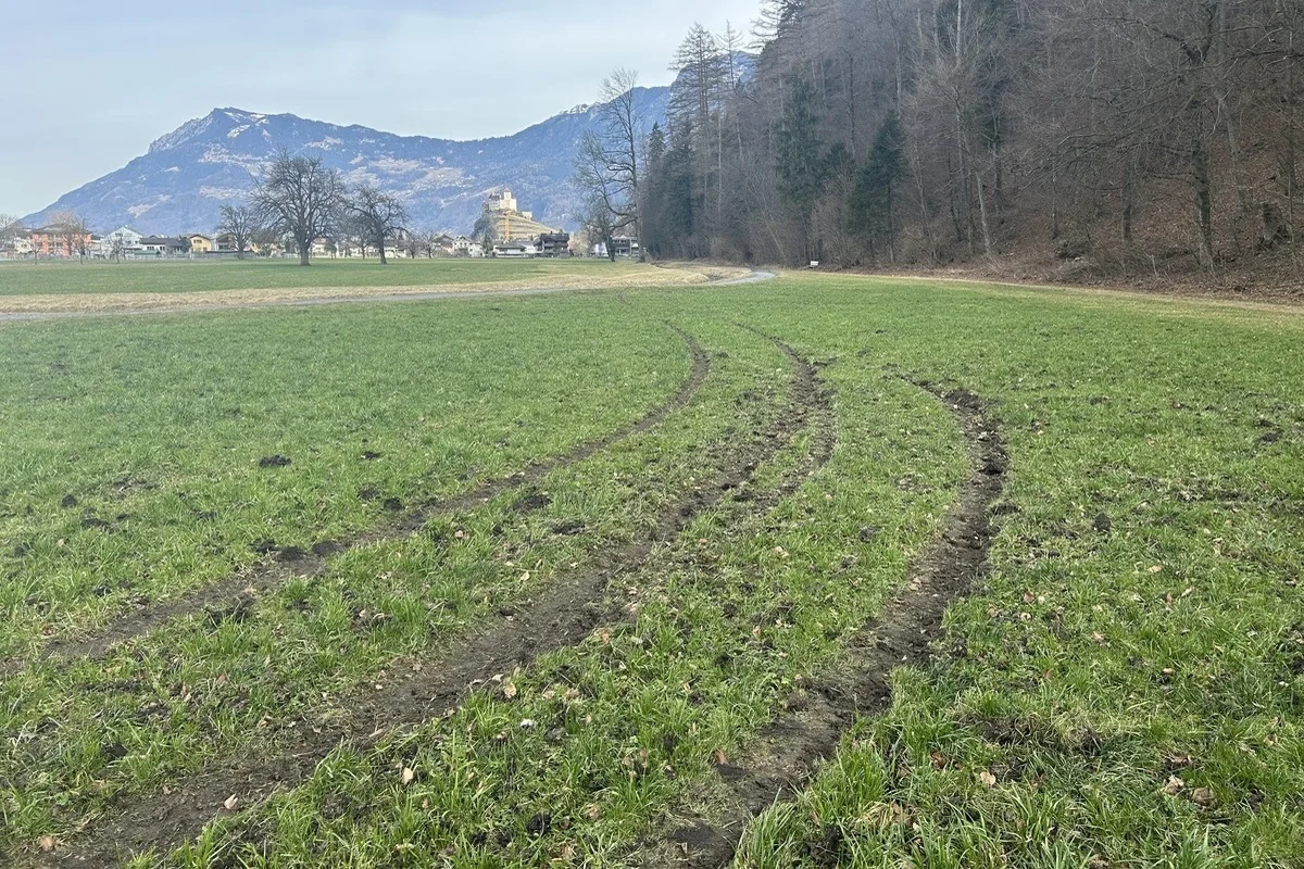 Balzers FL – Flurschaden auf Wiesen angerichtet