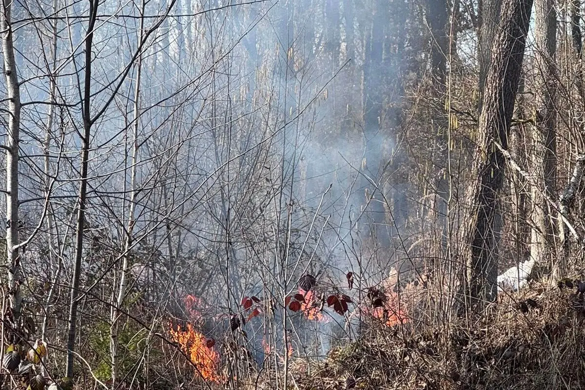Klagenfurt – Waldfläche auf Militärgelände gerät in Brand