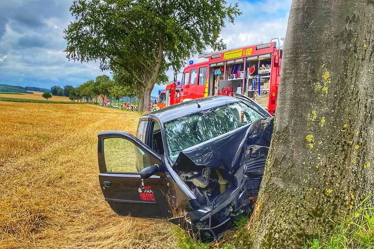 Bad Driburg - Fiat kracht frontal gegen Baum - Fahrer gleich tot!