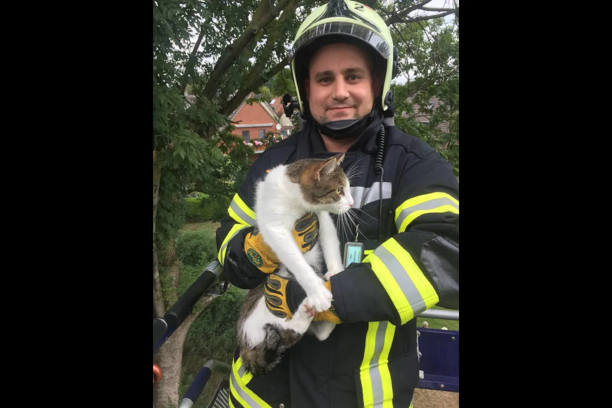 Anwohner sorgten sich um Katze