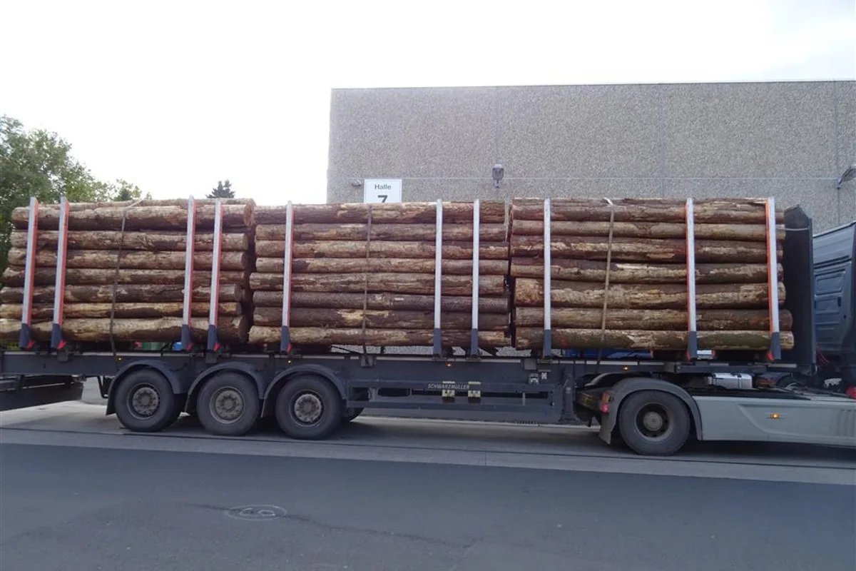 Longkamp - Holztransport zu schnell und zu schwer unterwegs 