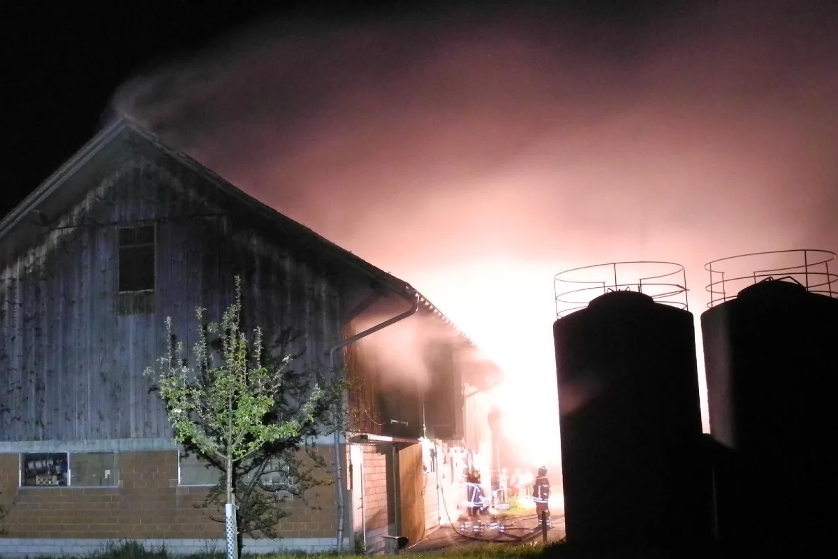 Brunnen SZ - Stallgebäude geriet in Brand