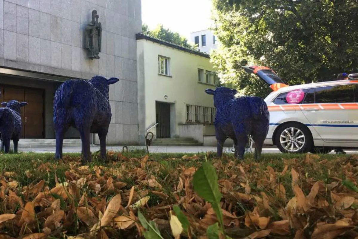 Zug ZG - Blaues Schaf wird vermisst