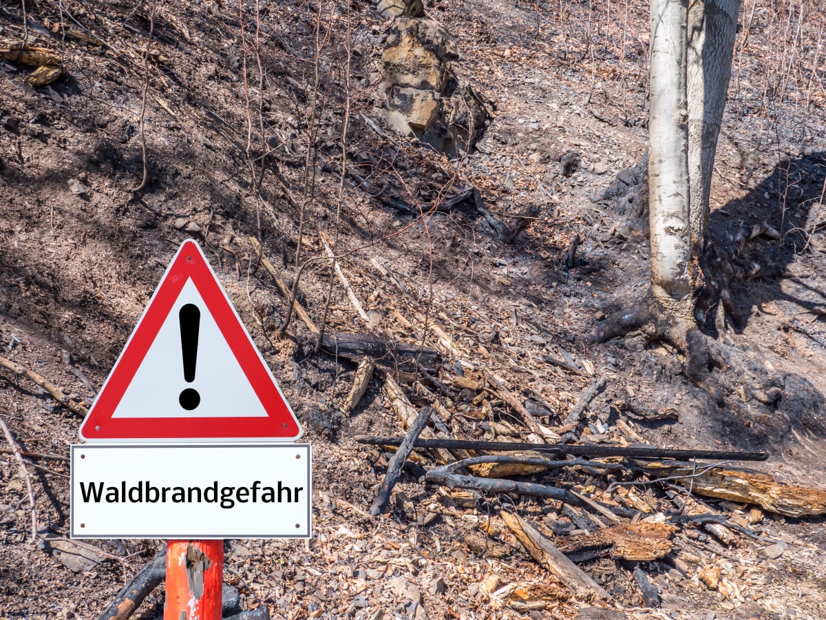 Ein dreieckiges Warnschild mit einem Ausrufezeichen und der Aufschrift 'Waldbrandgefahr' steht vor einem verbrannten Waldboden.