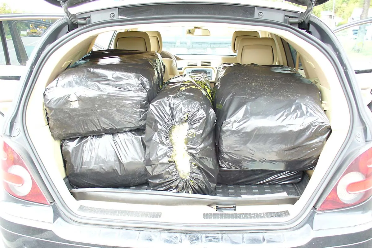 Kofferraum voller Drogen in Singen - Zoll entdeckt bei Kontrolle 40 Kilogramm Marihuana