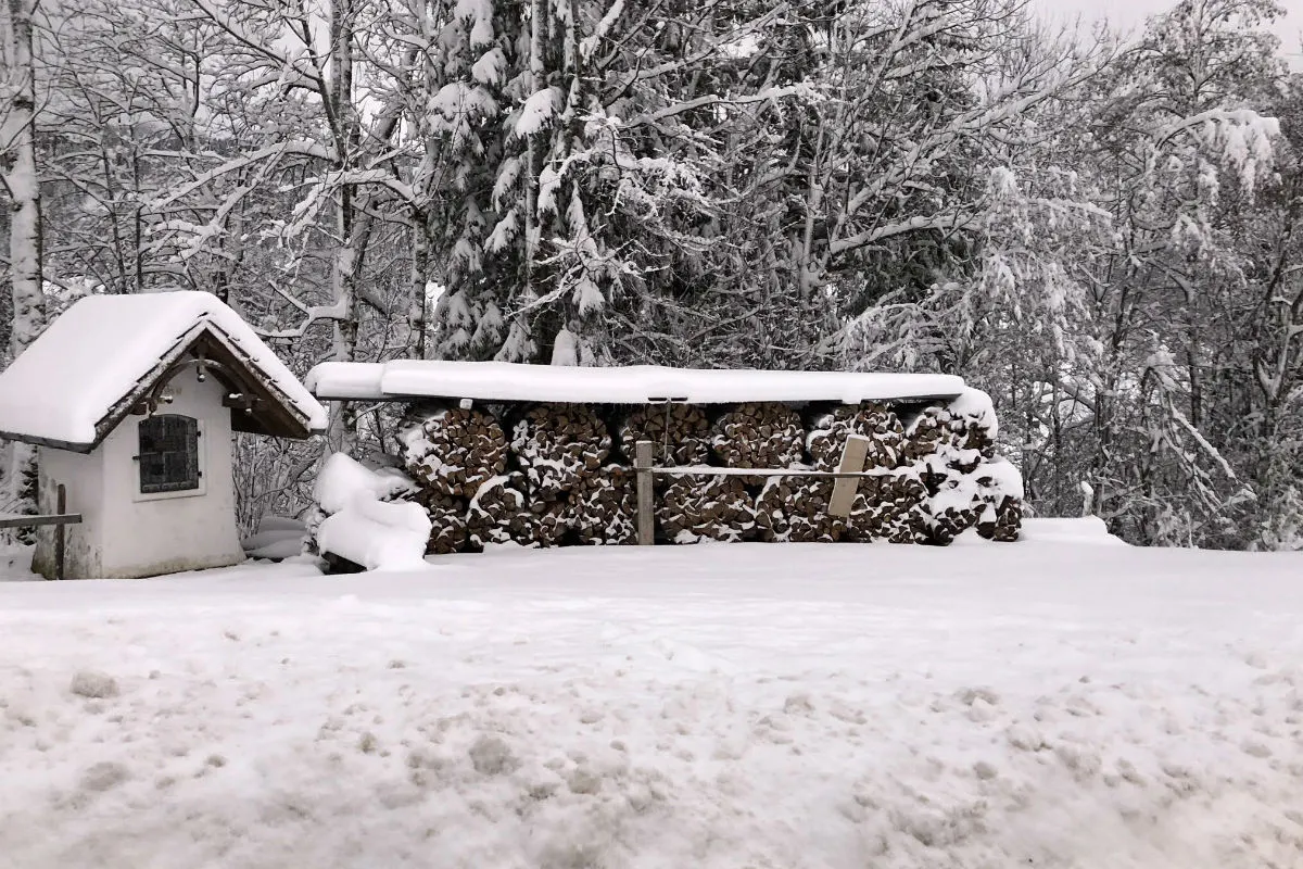 Erster Wintereinbruch anfangs nächster Woche?