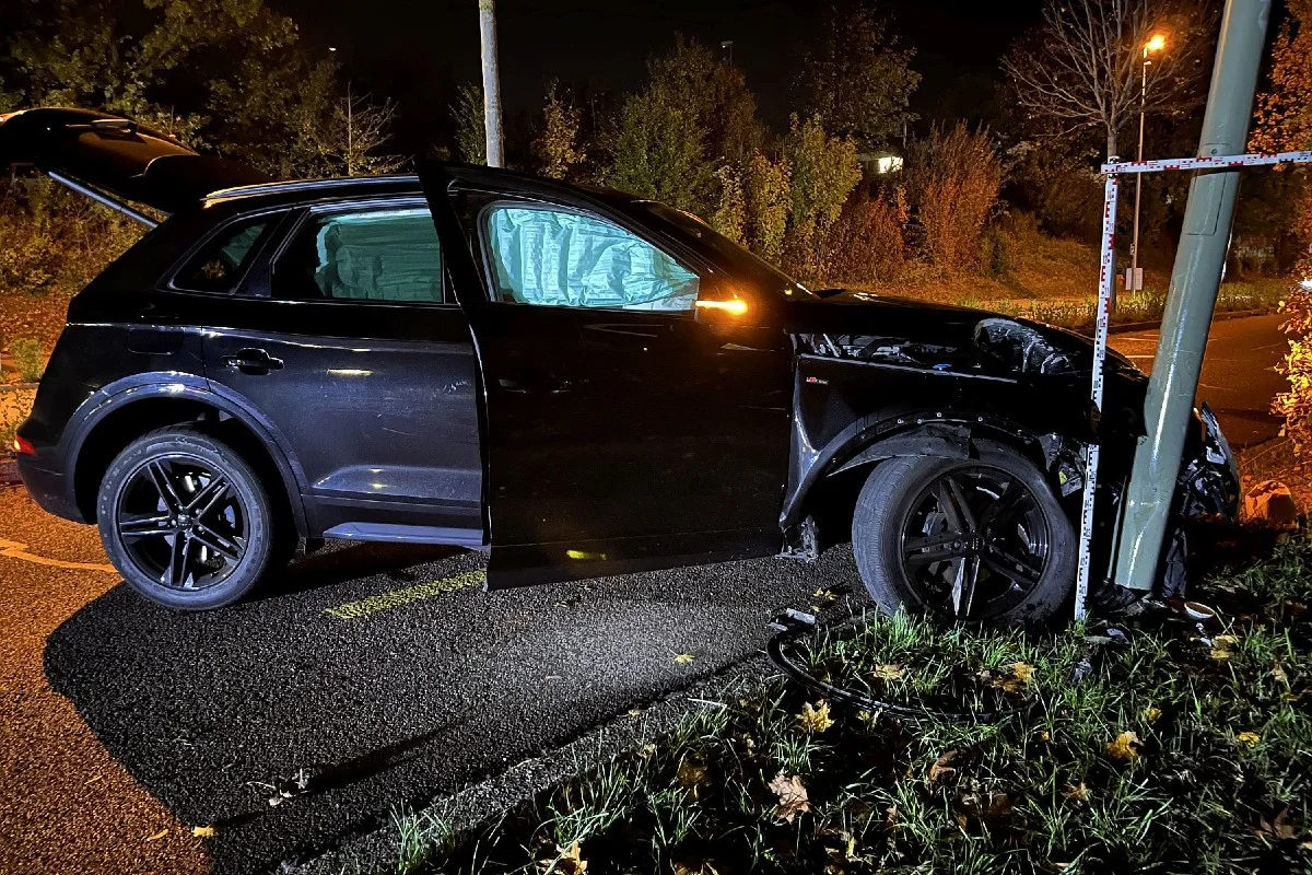 Münchenstein BL - Autofahrer weicht Tier aus und baut Selbstunfall