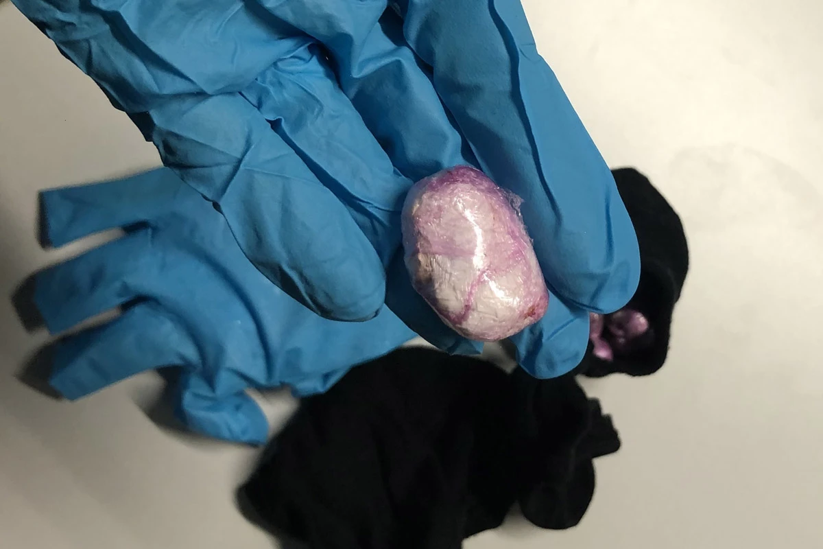 Augsburg - Spanienreise endet abrupt beim Zoll Rauschgiftspürhund hatte den richtigen Riecher
