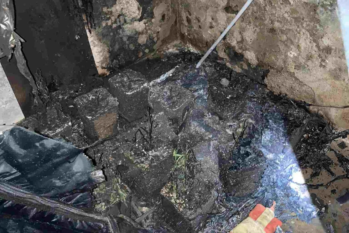 Seengen AG - Brand lässt Hanf-Indooranlage auffliegen!