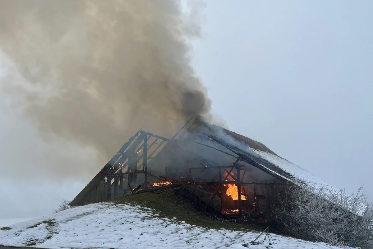 Neuenkirch LU – Ursache bei Scheunenbrand ermittelt 