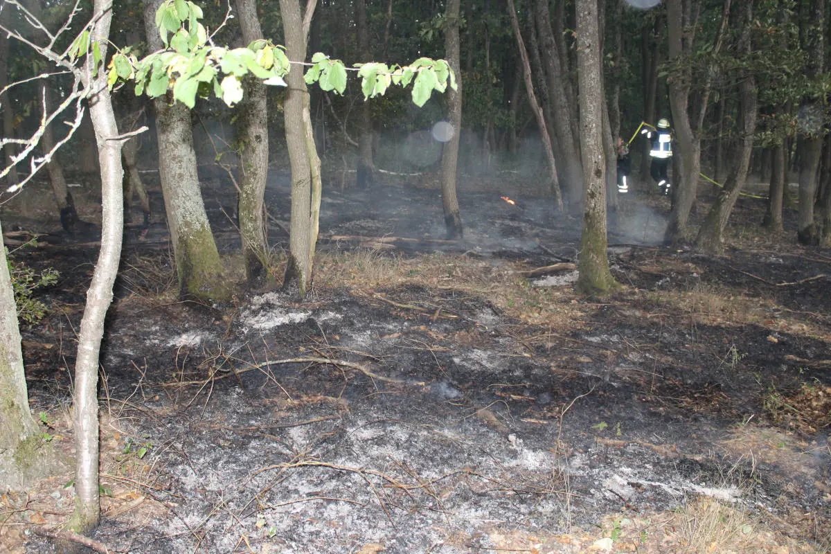 Breitenheim – Weidefläche brennt - Feuer von PKW ausgegangen