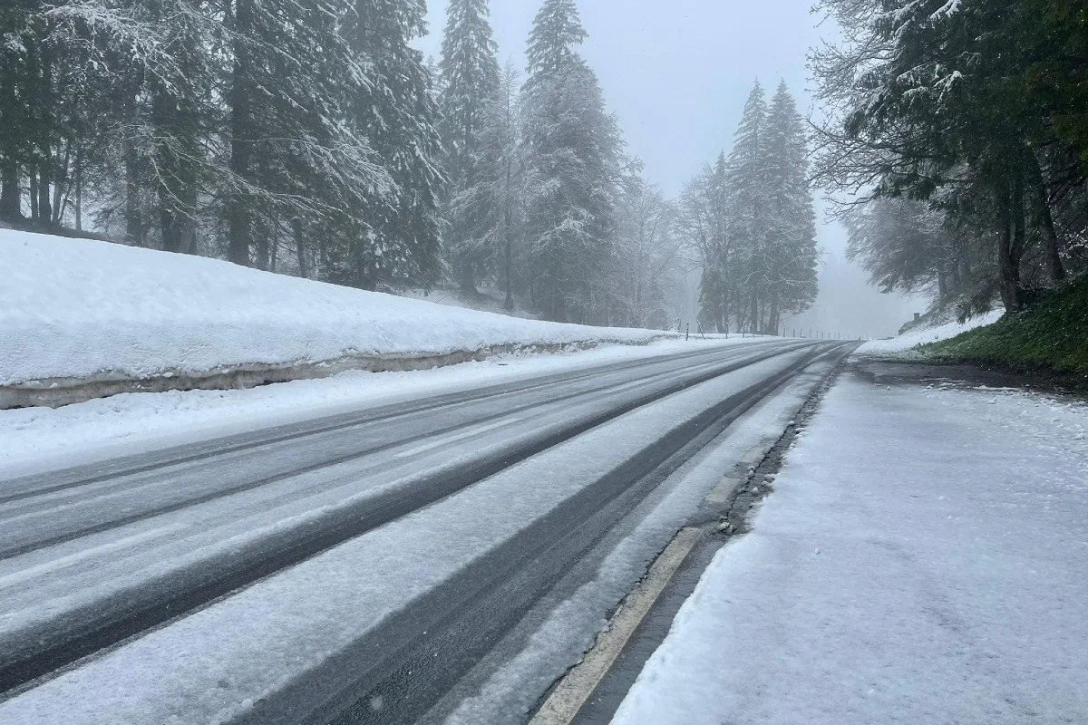 Kanton Uri – Starker Schneefall führt zu Verkehrsbehinderungen auf der A2